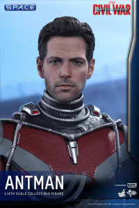 1/6 Scale Ant-Man Movie Masterpiece MMS362 (Captain America: Civil War)