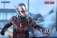 1/6 Scale Ant-Man Movie Masterpiece MMS362 (Captain America: Civil War)