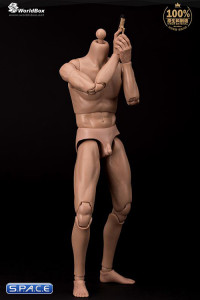 1/6 Scale Advanced Articulation Male Body AT011