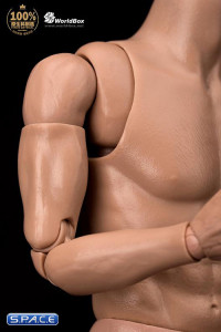 1/6 Scale Advanced Articulation Male Body AT011