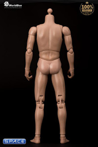 1/6 Scale Advanced Articulation Male Body AT011