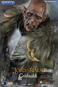 1/6 Scale Grishnakh (Lord of the Rings)