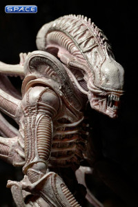 3er Komplettsatz: Aliens Serie 9 (Aliens)