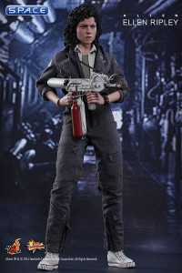 1/6 Scale Ellen Ripley Movie Masterpiece MMS366 (Alien)