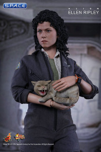 1/6 Scale Ellen Ripley Movie Masterpiece MMS366 (Alien)