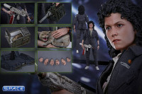 1/6 Scale Ellen Ripley Movie Masterpiece MMS366 (Alien)