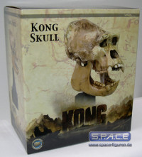 Kong Skull Bust (Kong)