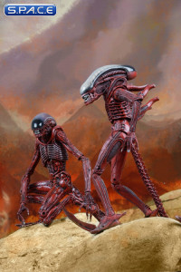 Red Big Chap & Dog Alien Genocide 2-Pack (Aliens)