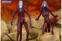 Red Big Chap & Dog Alien Genocide 2-Pack (Aliens)