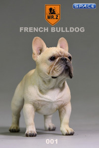 1/6 Scale beige French Bulldog