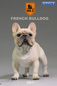 1/6 Scale beige French Bulldog