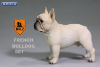 1/6 Scale beige French Bulldog