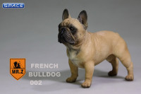 1/6 Scale brown French Bulldog