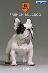 1/6 Scale white French Bulldog