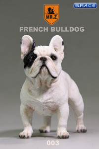 1/6 Scale white French Bulldog