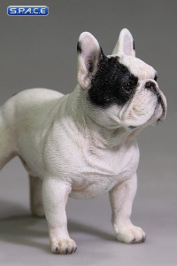 1/6 Scale white French Bulldog