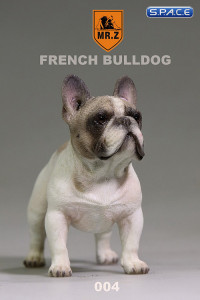 1/6 Scale tabby French Bulldog