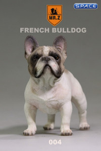 1/6 Scale tabby French Bulldog