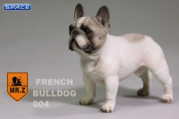 1/6 Scale tabby French Bulldog