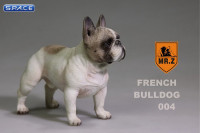 1/6 Scale tabby French Bulldog