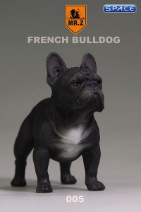 1/6 Scale black French Bulldog