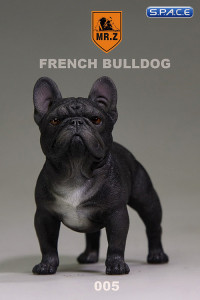 1/6 Scale black French Bulldog