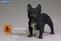 1/6 Scale black French Bulldog