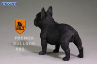 1/6 Scale black French Bulldog