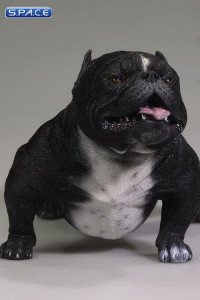 1/6 Scale black American Bully Dog