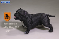 1/6 Scale black American Bully Dog