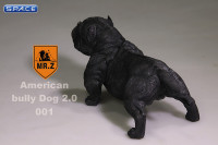 1/6 Scale black American Bully Dog