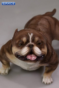 1/6 Scale brown American Bully Dog