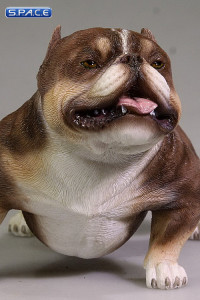 1/6 Scale brown American Bully Dog