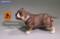 1/6 Scale brown American Bully Dog