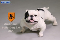 1/6 Scale white American Bully Dog