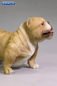 1/6 Scale tan American Bully Dog