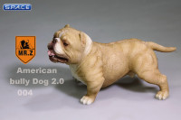 1/6 Scale tan American Bully Dog