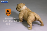 1/6 Scale tan American Bully Dog