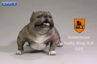 1/6 Scale grey American Bully Dog