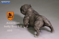 1/6 Scale grey American Bully Dog