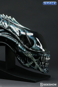 1:1 Alien Warrior Life-Size Head Blue Edition (Aliens)