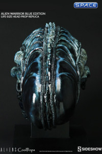 1:1 Alien Warrior Life-Size Head Blue Edition (Aliens)
