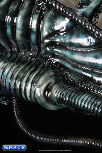 1:1 Alien Warrior Life-Size Head Blue Edition (Aliens)