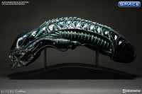 1:1 Alien Warrior Life-Size Head Blue Edition (Aliens)