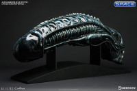 1:1 Alien Warrior Life-Size Head Blue Edition (Aliens)