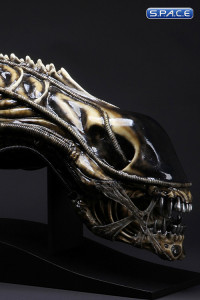 1:1 Alien Warrior Life-Size Head (Aliens)