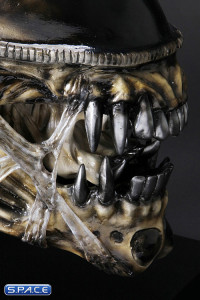 1:1 Alien Warrior Life-Size Head (Aliens)