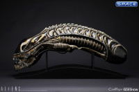 1:1 Alien Warrior Life-Size Head (Aliens)