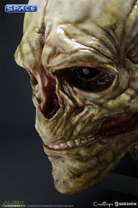 1:1 Newborn Alien Life-Size Head (Alien Resurrection)