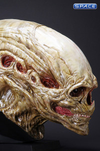 1:1 Newborn Alien Life-Size Head (Alien Resurrection)